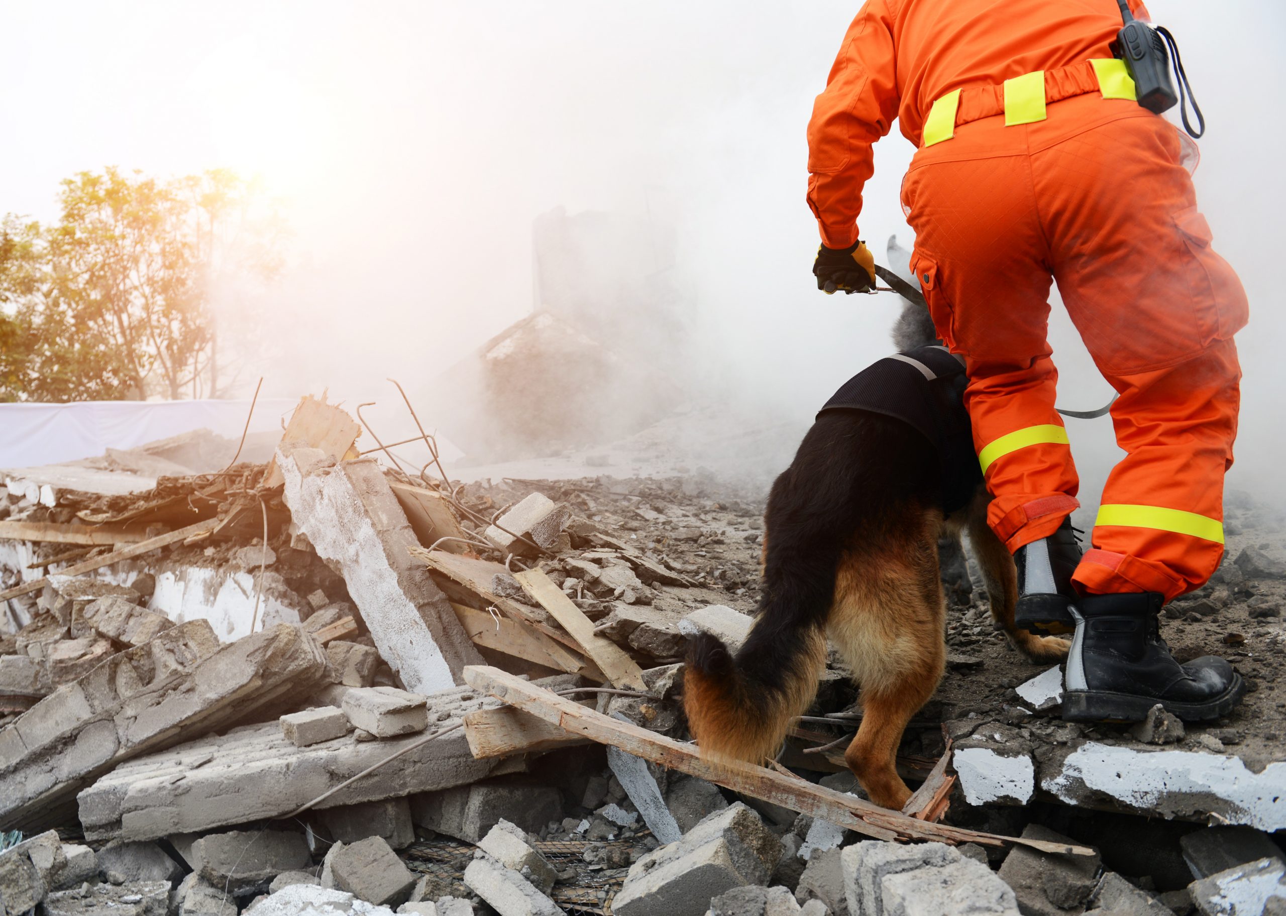Preparing, Responding and Recovering from a Natural Disaster